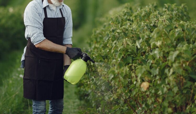 Αποζημίωση 2,2 δις δολ. σε κηπουρό από τη Monsanto