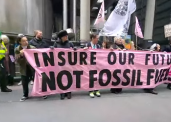 Γιατί οι ακτιβιστές για το κλίμα “στοχεύουν” τις ασφαλιστικές