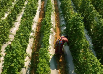 Η εύκολη πρόσβαση στην ασφάλιση αυξάνει την “ανθεκτικότητα” σε ανθρώπους με χαμηλά εισοδήματα (video)