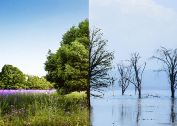 Πώς συνδέονται Κλιματικός Κίνδυνος και Κίνδυνος Χώρας;
