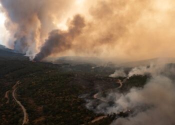 Οι επιπτώσεις των πυρκαγιών στην οικονομία και την κοινωνία του Έβρου