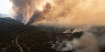 Οι επιπτώσεις των πυρκαγιών στην οικονομία και την κοινωνία του Έβρου