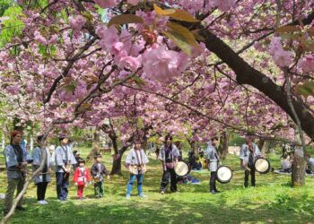 Η παράξενη αντίφαση της Ιαπωνίας στη σχέση με το Φυσικό Περιβάλλον