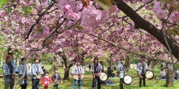 Η παράξενη αντίφαση της Ιαπωνίας στη σχέση με το Φυσικό Περιβάλλον