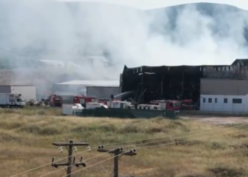 Τη λειτουργία της εταιρείας με τα σχολικά γεύματα ανέστειλε ο ΕΦΕΤ