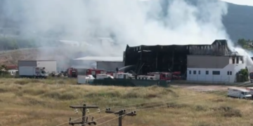 Τη λειτουργία της εταιρείας με τα σχολικά γεύματα ανέστειλε ο ΕΦΕΤ