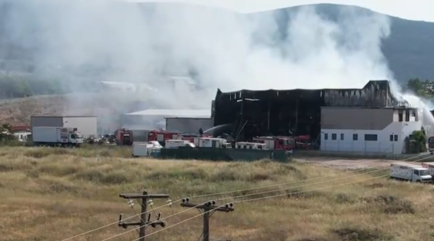 Τη λειτουργία της εταιρείας με τα σχολικά γεύματα ανέστειλε ο ΕΦΕΤ