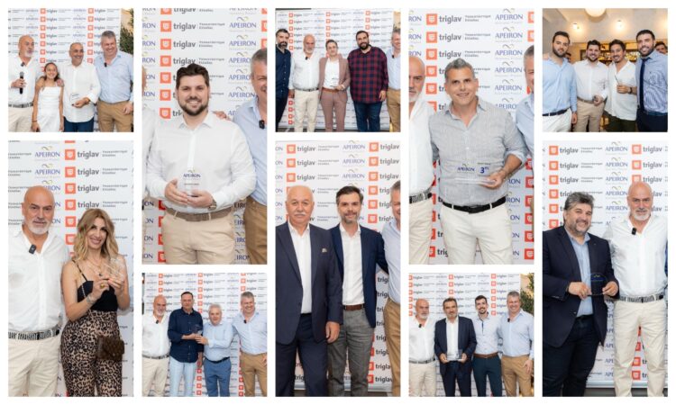 Το πετυχημένο project της Apeiron Insurance!