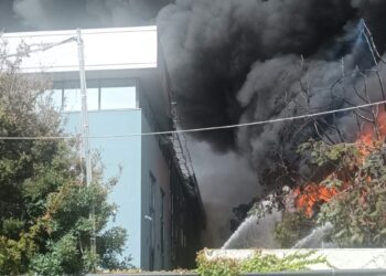 H ανακοίνωση της Παλαμήδης – Pal για τη φωτιά