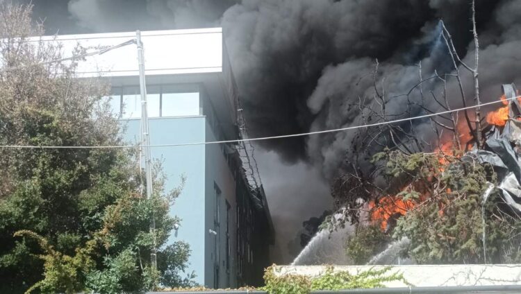 H ανακοίνωση της Παλαμήδης – Pal για τη φωτιά