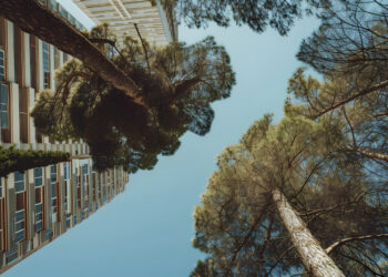 Πώς θα αντιμετωπιστούν τα αγκάθια της υποχρεωτικής ασφάλισης επιχειρήσεων