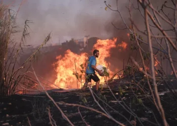 Πυρκαγιές: Πόσο ασφαλής ήταν ο πρωτογενής τομέας της ΒΑ Αττικής
