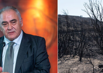 Γ. Χατζηθεοδοσίου: Το Ε.Ε.Α. θα σταθεί δίπλα στις πληγείσες επιχειρήσεις