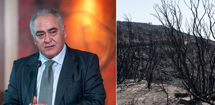 Γ. Χατζηθεοδοσίου: Το Ε.Ε.Α. θα σταθεί δίπλα στις πληγείσες επιχειρήσεις