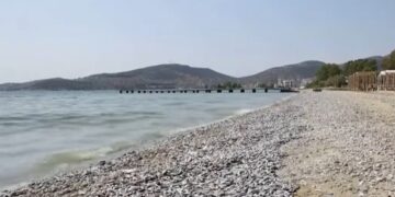 Νεκρά ψάρια: Ποια είναι τα μέτρα στήριξης για τους επιχειρηματίες