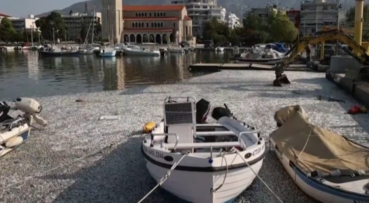 Η επόμενη μέρα στον Βόλο και το μάθημα της Θεσσαλίας