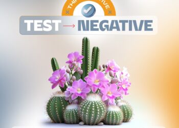 ΙΑΣΩ Γενική Κλινική: Προσφορά Ελέγχου ΣΜΝ με αφορμή την Παγκόσμια Ημέρα Σεξουαλικής Υγείας