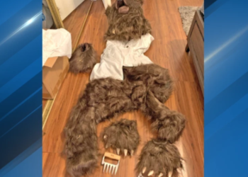 Ασφαλιστική απάτη με… στολή αρκούδας (video)