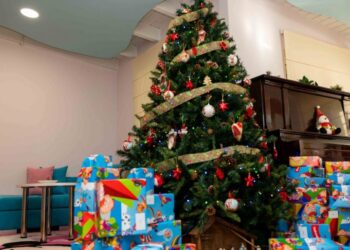 Το ΕΕΑ κοντά σε δομές και ιδρύματα και αυτά τα Χριστούγεννα