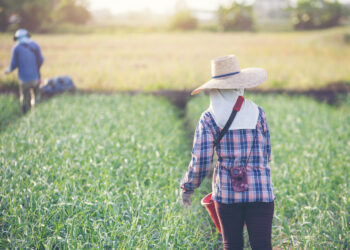 ΕΙΑΣ: Εκπαιδευτικό Σεμινάριο Αγροτικών Ασφαλίσεων