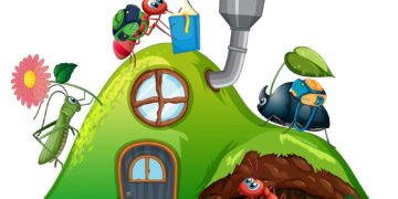 Το μυρμήγκι και η ακρίδα! Μια παραβολή για τους Κινδύνους του Κυβερνοχώρου και την σημασία της πρόληψης