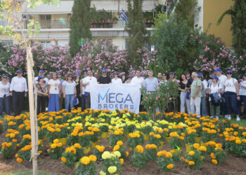 MEGA Brokers: Φυτεύουμε σήμερα για το αύριο που αξίζουμε