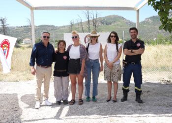 efood, Interamerican, Anytime, Deloitte και NAK συμβάλλουν ενεργά στη διάσωση των δασών της Αττικής