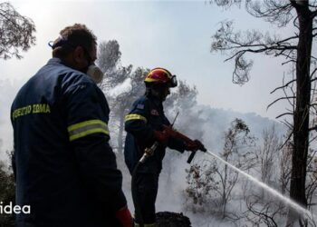 Ο όμιλος Affidea δίπλα στους πυροσβέστες για 4η συνεχή χρονιά