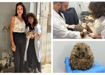 O Όμιλος Σαρακάκη σταθερός υποστηρικτής του  έργου της ΑΝΙΜΑ
