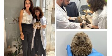 O Όμιλος Σαρακάκη σταθερός υποστηρικτής του  έργου της ΑΝΙΜΑ