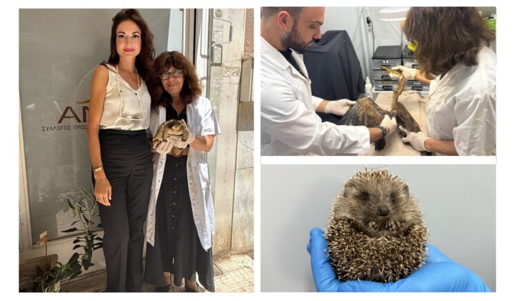 O Όμιλος Σαρακάκη σταθερός υποστηρικτής του έργου της ΑΝΙΜΑ