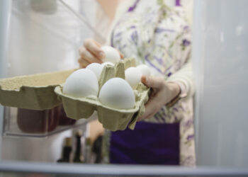 Αιώνια χημικά σε 4 στα 10 αυγά δείχνει γαλλική μελέτη- Τι συμβαίνει στην Ελλάδα