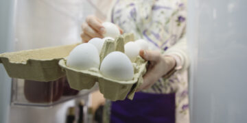 Αιώνια χημικά σε 4 στα 10 αυγά δείχνει γαλλική μελέτη- Τι συμβαίνει στην Ελλάδα