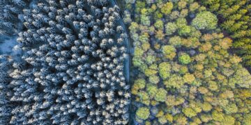 Τα επίπεδα ρεκόρ CO2 “καμπανάκι” για τις φυσικές καταστροφές