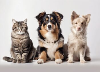 Charming pampered pets play side by side, looking alert generated by artificial intelligence