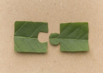 Μιλώντας τη γλώσσα του ESG