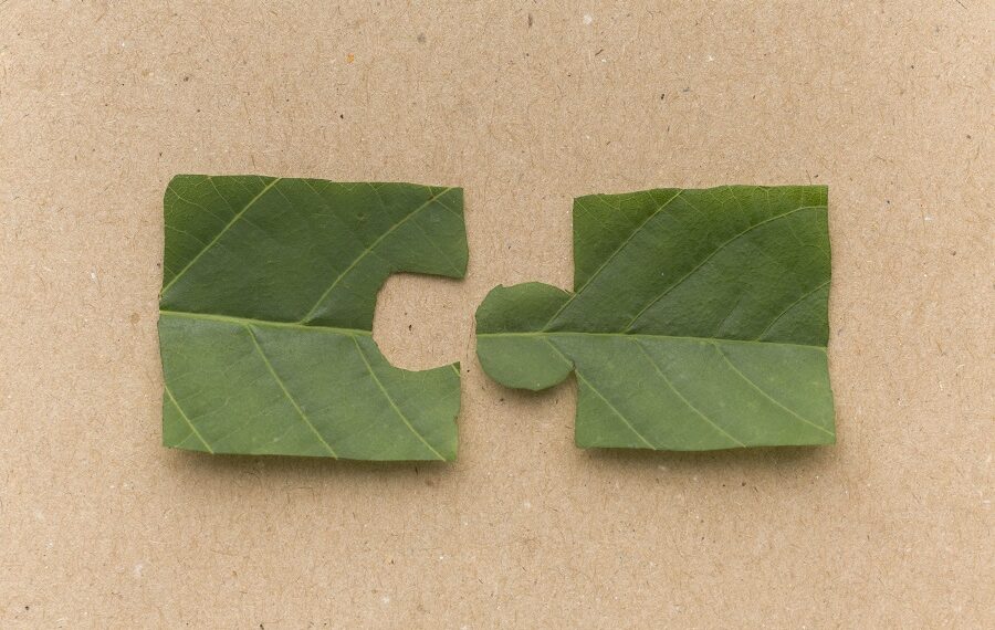 Μιλώντας τη γλώσσα του ESG