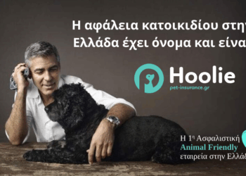 Όταν η φροντίδα γίνεται απόφαση: Η νέα εποχή στην κηδεμονία κατοικιδίων