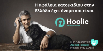 Όταν η φροντίδα γίνεται απόφαση: Η νέα εποχή στην κηδεμονία κατοικιδίων