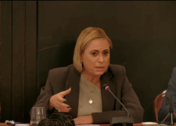 Ο ασφαλιστής κεντρικός βραχίονας του ασφαλιστικού οικοσυστήματος