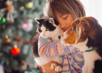 Πως η Hoolie έγινε Game-Changer στην ασφάλιση κατοικιδίων