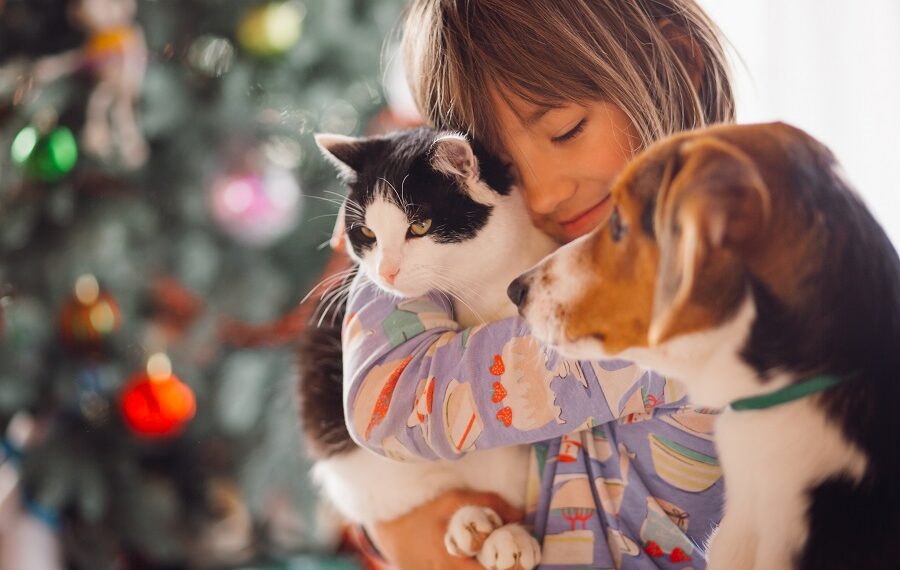 Πως η Hoolie έγινε Game-Changer στην ασφάλιση κατοικιδίων