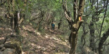 Στρατηγική συνεργασία NAK Insurance Brokers & Terra Pindus