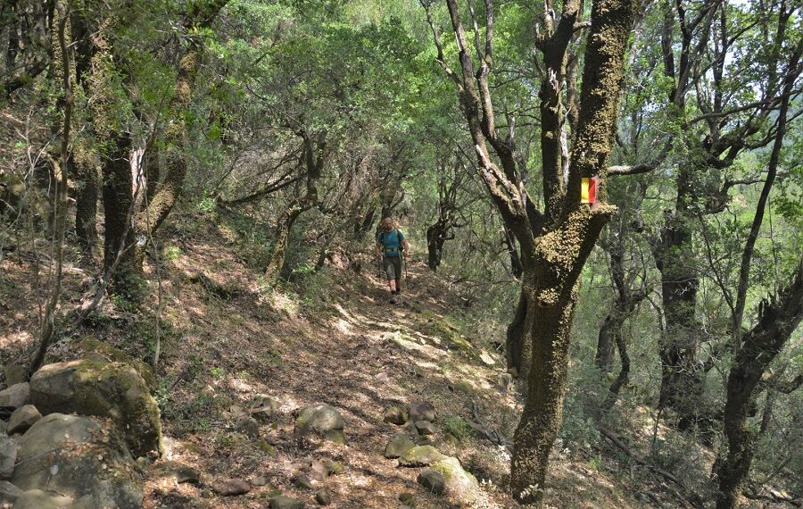 Στρατηγική συνεργασία NAK Insurance Brokers & Terra Pindus