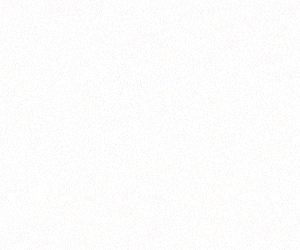 designia300x250finalgif