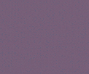 designiaagentsbanner2025300x250gif
